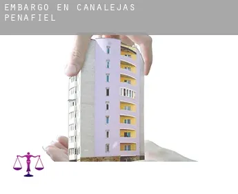 Embargo en  Canalejas de Peñafiel