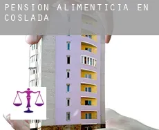 Pensión alimenticia en Coslada