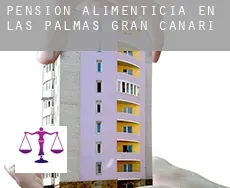 Pensión alimenticia en  Las Palmas de Gran Canaria