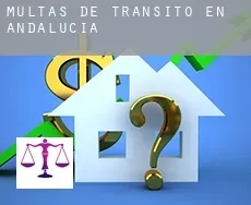 Multas de tránsito en Andalucía