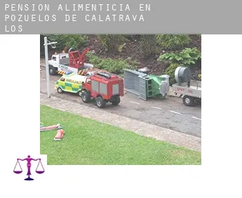 Pensión alimenticia en  Pozuelos de Calatrava (Los)