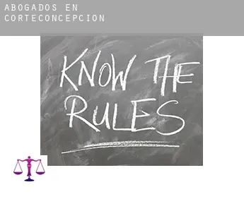 Abogados en  Corteconcepción