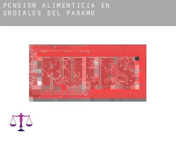 Pensión alimenticia en  Urdiales del Páramo
