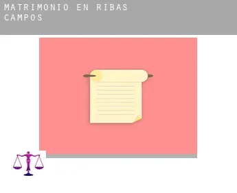 Matrimonio en  Ribas de Campos
