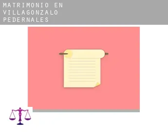 Matrimonio en  Villagonzalo-Pedernales
