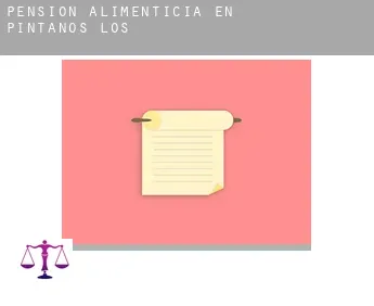 Pensión alimenticia en  Pintanos (Los)