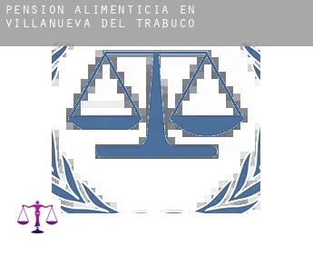 Pensión alimenticia en  Villanueva del Trabuco