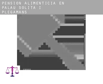 Pensión alimenticia en  Palau-solità i Plegamans