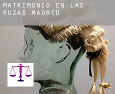 Matrimonio en  Las Rozas de Madrid