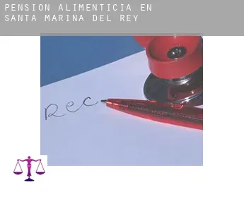 Pensión alimenticia en  Santa Marina del Rey