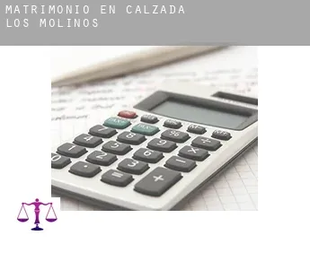 Matrimonio en  Calzada de los Molinos
