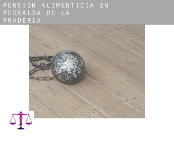 Pensión alimenticia en  Pedralba de la Pradería