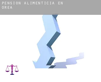 Pensión alimenticia en  Orea