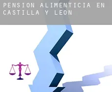 Pensión alimenticia en  Castilla y León