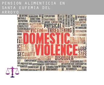 Pensión alimenticia en  Santa Eufemia del Arroyo